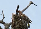 NrthFlicker-0004.jpg